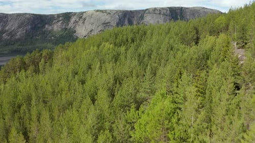 Aerial over a forest of trees along the Nisser lake towards the Langfjell Mountain range, Treungen,