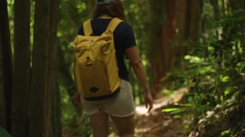 Woman Walking Alone Through Tall Tropical Trees in Bright Forest Light with Backpack, Rear Angle, Co
