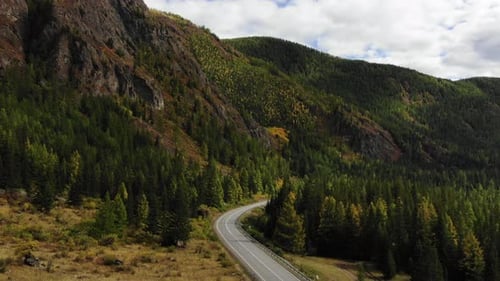 A Winding Road Cuts Through a Dense Forest in a Rugged Mountain Landscape