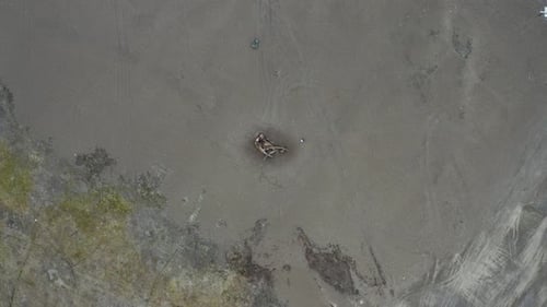 Aerial Top Down drone Shot of Man and Whale Carcass on Black Sand Beach at the Northernmost Point