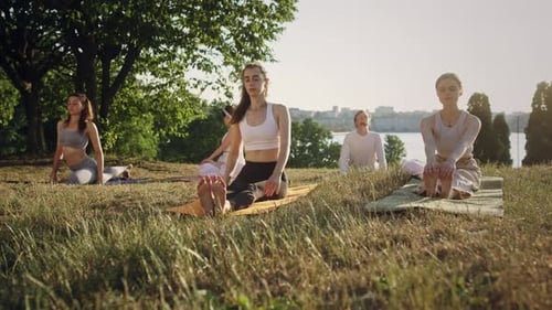 Young Adults Practicing Yoga in Park at Daytime