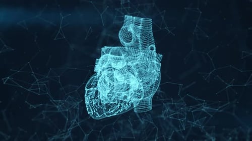 Digital Human Heart Model Representing Advanced Medical Technology Systems