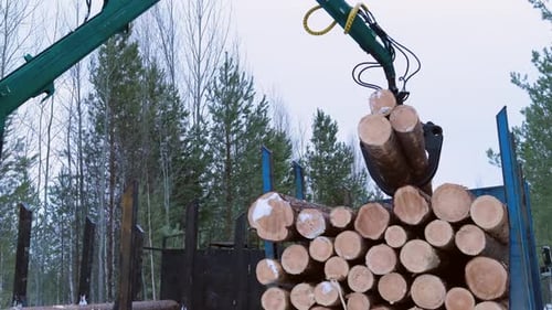 Crane Lifting Logs into Truck in Forest