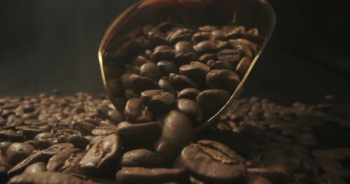 Coffee Beans in a Metal Scoop, Close Up