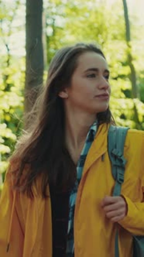 Young Cheerful Hikers with Hiking Backpacks Walk on Path in Woods Talking Laughing Looking Around