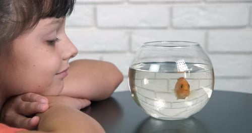 Young Girl Watching an Orange Fish in Fishbowl