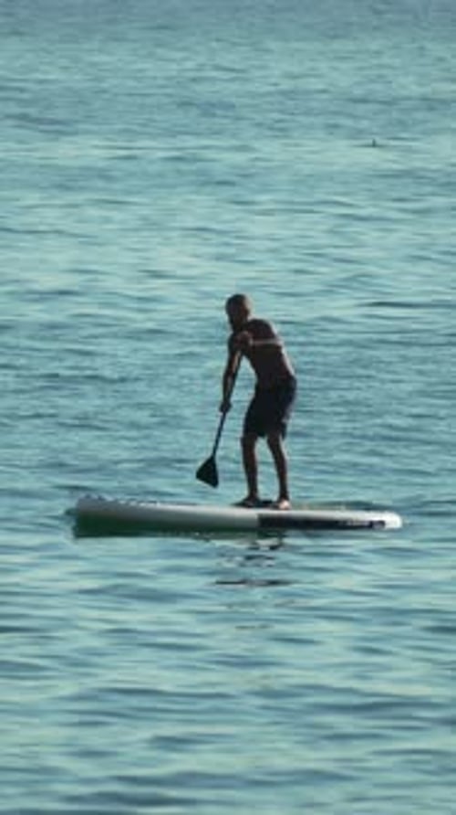 Man Paddleboarding Water Man Paddleboarding on Calm Blue Sea Summer Activity Vertical Video