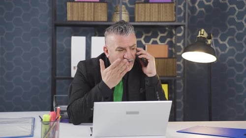 Mature Businessman On Phone Call Working At Desk
