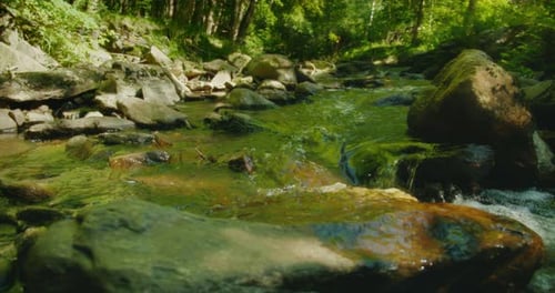 Fließendes Wasser über einem Bett aus glatten Felsen spiegelt das leuchtend grüne Blätterdach des Waldes in ruhiger Atmosphäre wider