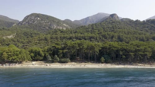 Drone Flies Over a Beach and Sea Bird Eye View