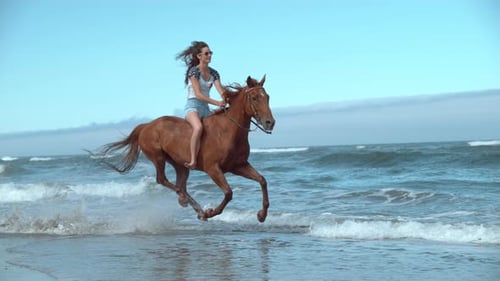 Horseback Riding in Natural Setting