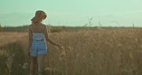 Young Woman Walks Along a Field a Beautiful Rural Landscape