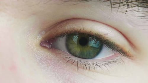 4K Cinematic slow motion macro shot of a green eye, with blue and brown flecks, opening and looking