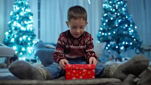 Excited Boy Opening Christmas Gift in Front of Trees
