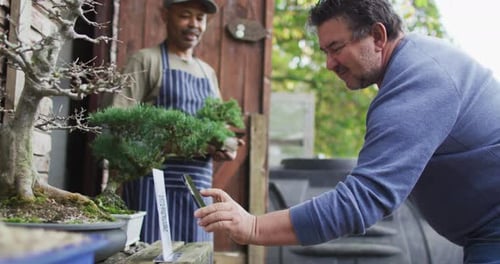 Jardinier afro-américain vendant des plantes, utilisant des paiements sans contact à la jardinerie