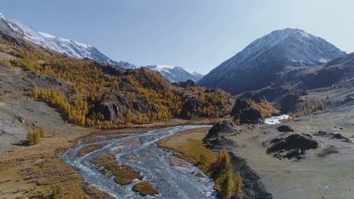 Aerial View of Autumn Mountain Landscape with Evergreen Pine Trees and Yellow Fall Forest with