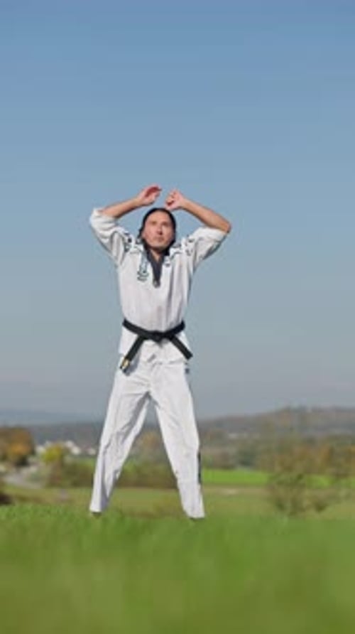 A Skilled Martial Artist Performing a Dynamic Jump in the Air Within a Scenic Field Environment