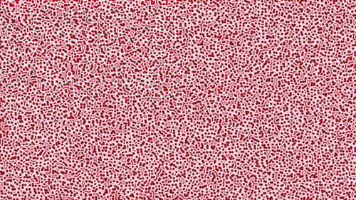 Animated Red Abstract Organic Cellular Pattern Background