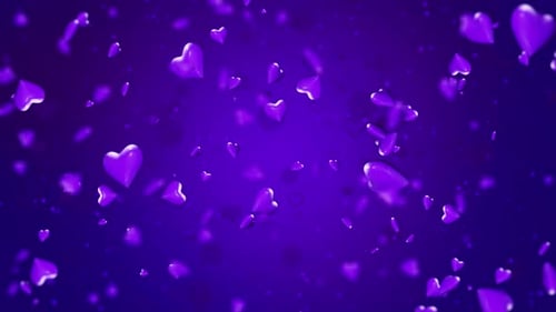 Purple Valentines Day Heart Background Loop V3