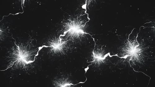Neuronen