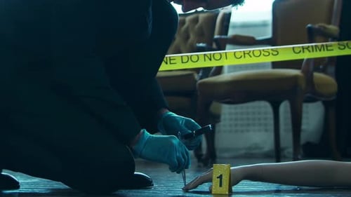 Crime Scene Investigation: Evidence Examination at Home