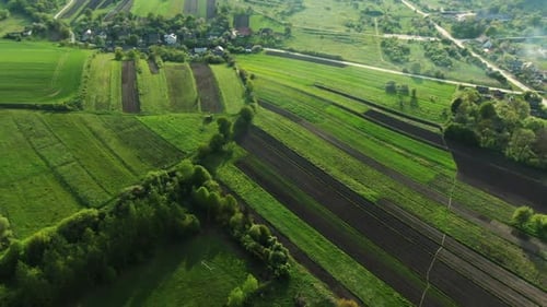 Summer Rural Field with a Bird's Flight Height