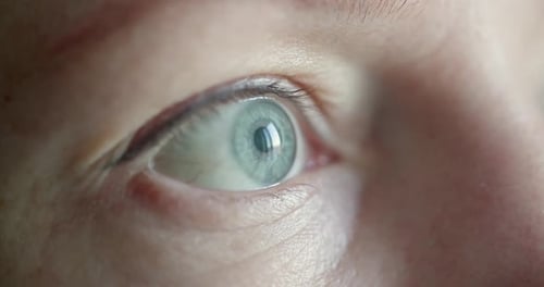 Close Up Macro Shallow Depth of Field Shot of Human Female Eye