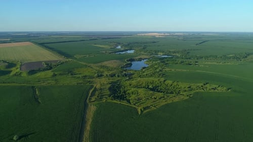 Luftaufnahme Schöne Landschaft im Sommer Drohne fliegt bei sonnigem Tag über Feld