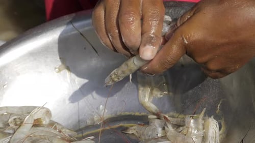 Person peeling raw shrimp in stainless steel bowl