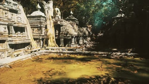 Explorer Observing Old Stone Carvings Serene Scene of Forest Temple Ruins