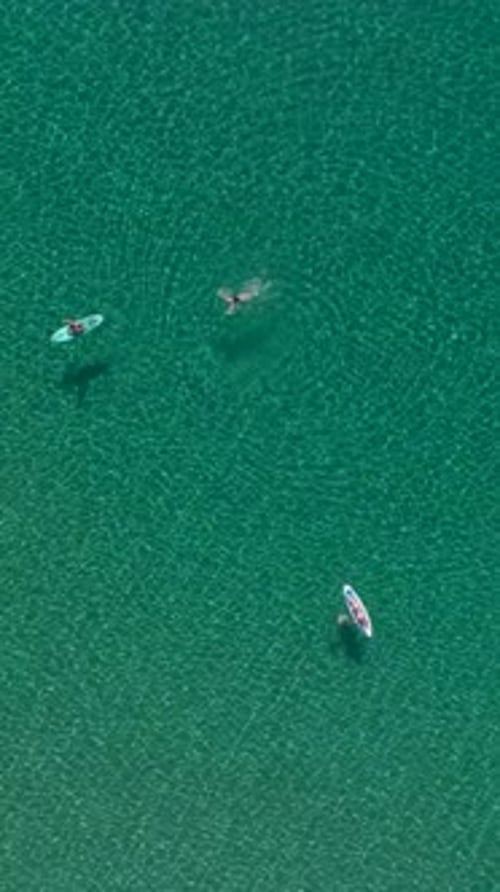 Vertical Video Paddleboarding Adventure on the Mediterranean Sea with People Relaxing and Floating