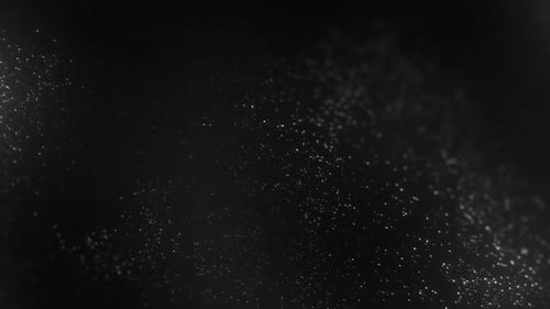 Black Particles Field