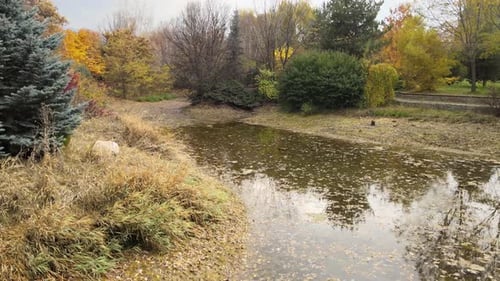 Reflexion am See im Herbst