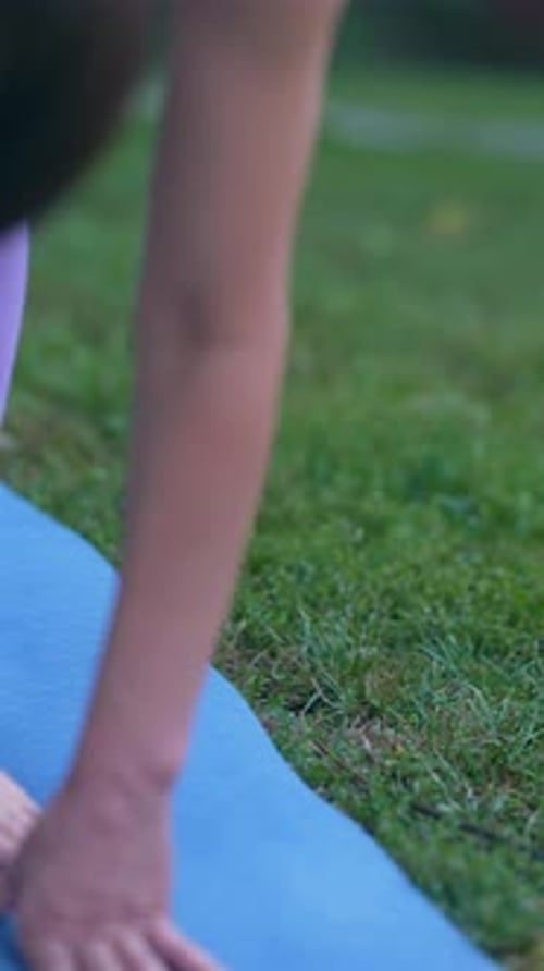 A Group Yoga Session in the Park on a Summer Day