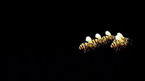 Group Of Bee Flying Idle