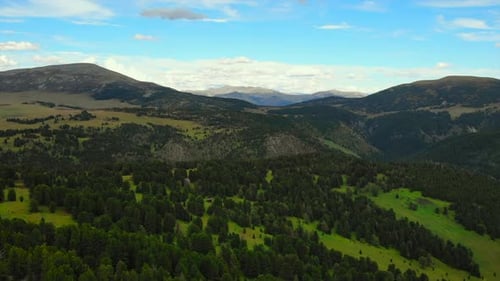 Scenic Aerial View of a Pine Forest in the Mountains Media