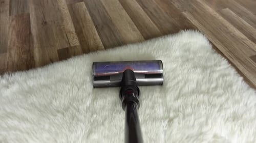 Carpet cleaning with a roller brush.