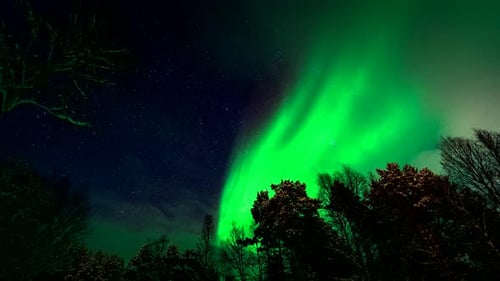 Surreal green aurora borealis natural phenomena flaring in night sky, time-lapse