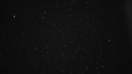 Particles (2K)