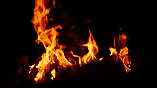 Intense Flames Dancing Against Black Backdrop