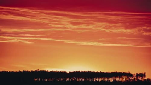 Sunset Sky Above Pine Forest Sun Sunshine In Sunny Spring Coniferous Forest Sunlight Sun Rays Shine