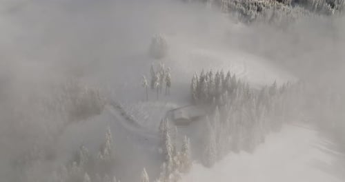 Aerial View Of Cabin Among Pine Trees And Snow