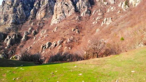 Rocky Mountain Valley with Green Grass Slopes Media