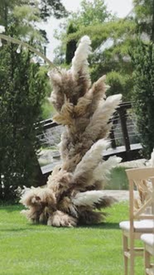 Wedding Decoration with Pampas Grass on Green Lawn