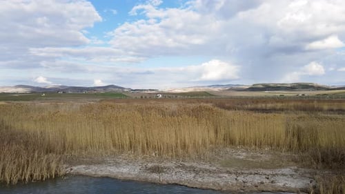 Pond, Reeds And Sky