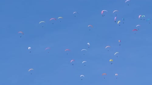 Viele Gleitschirmflieger am Himmel