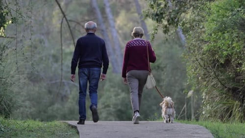 Rear shot of Physical exercising senior couple walking dog together on forest path having conversati