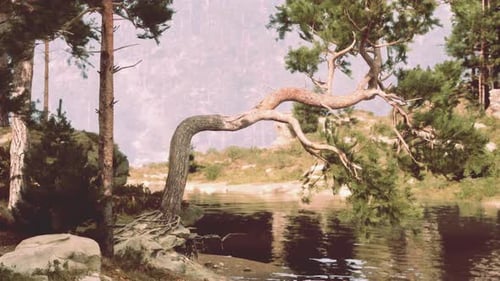 Serene Animated Landscape with Gnarled Pine Tree Over Lake