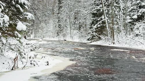 Lindulovskaya Grove an Ecological Trail a Calm Winding River in a Snowy Forest Trees Under the Snow