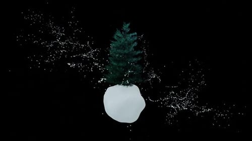 Spielzeugkiefer auf Schneeball im winterlichen Schneesturm. Weihnachtsbaum auf schwarzem Hintergrund.